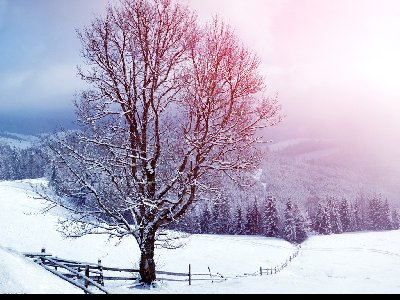 吉他冬季保養常識